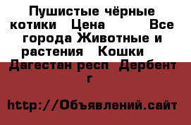 Пушистые чёрные котики › Цена ­ 100 - Все города Животные и растения » Кошки   . Дагестан респ.,Дербент г.